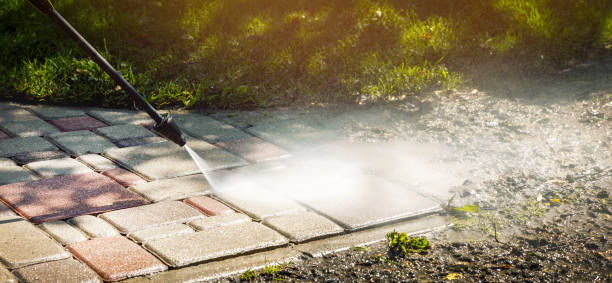 Best Solar Panel Cleaning  in Mankato, MN